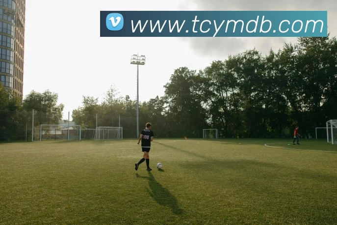 App Interface Preview