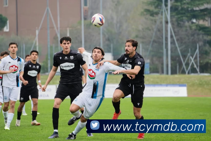 十大信誉好的平台APP 封面图